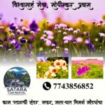 Kaas Plateau Taxi Service