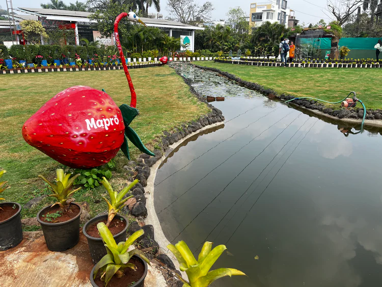 Mapro Garden